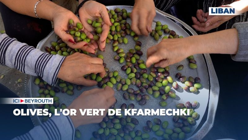 Olives, l'or vert de Kfarmechki