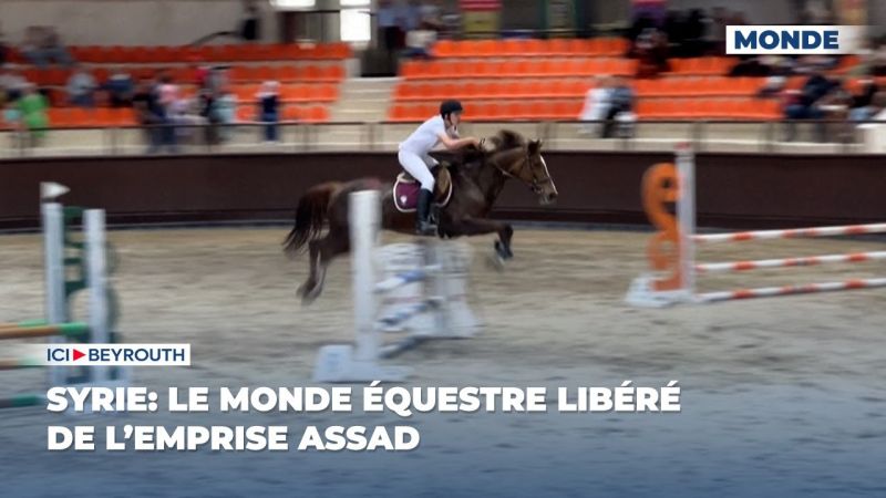 Syrie: le monde équestre libéré de l’emprise Assad