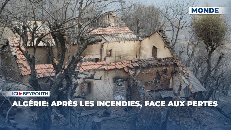 Algérie: après les incendies, face aux pertes