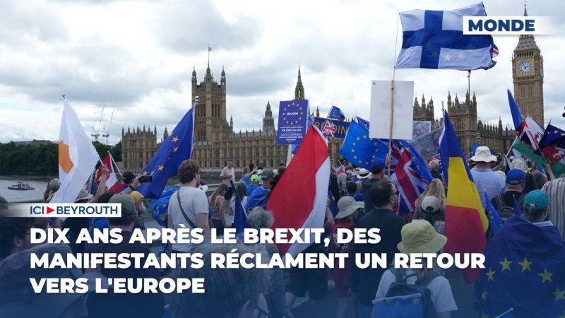 Dix ans après le Brexit, des manifestants réclament un retour vers l'Europe