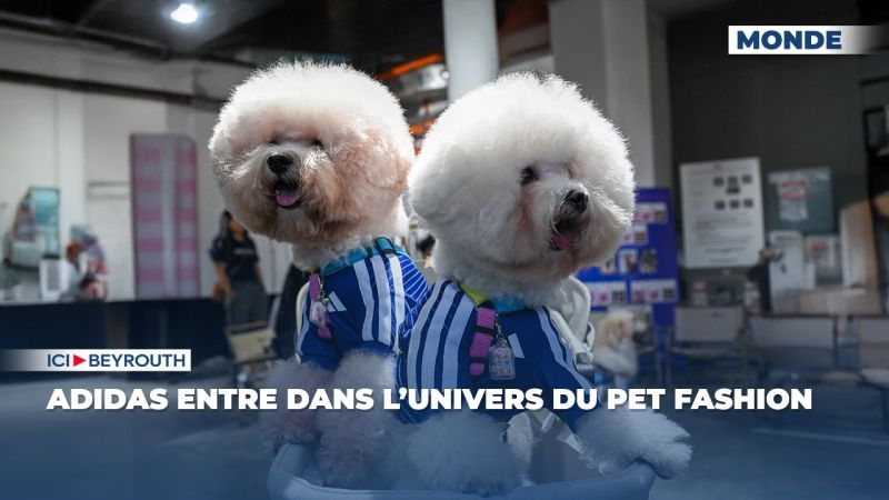 Adidas entre dans l’univers du pet fashion
