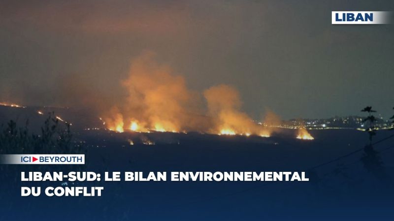 Liban-Sud: le bilan environnemental du conflit