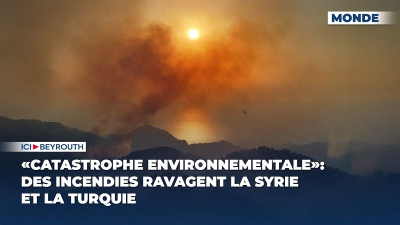 Catastrophe environnementale: des incendies ravagent la Syrie et la Turquie