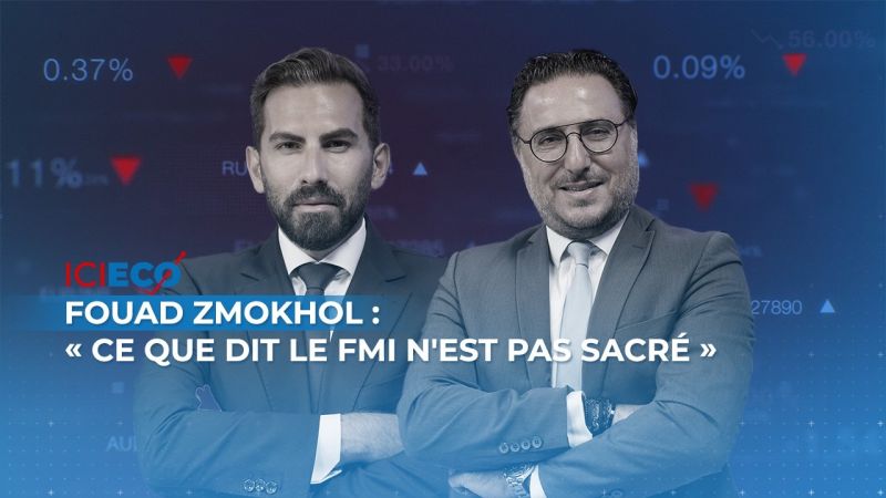 Fouad Zmokhol: «Ce que dit le FMI n'est pas sacré»