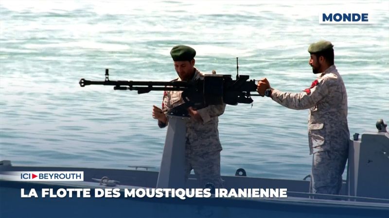 La flotte des moustiques iranienne