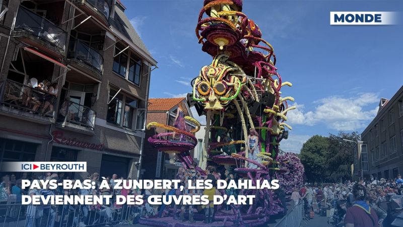 Pays-Bas: à Zundert, les dahlias deviennent des œuvres d’art
